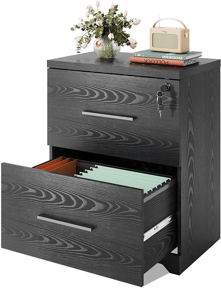 Black 2 Drawer Wood Lateral File Cabinet Printer Stand with Lock
